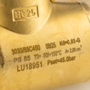 Varoventtiili 1"-NPT 1 1/4"-G 3030/88C450 45bar 