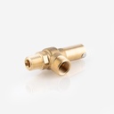 Safety valve 1/2"-NPT 3/4"-G D10/CS 25bar Co2